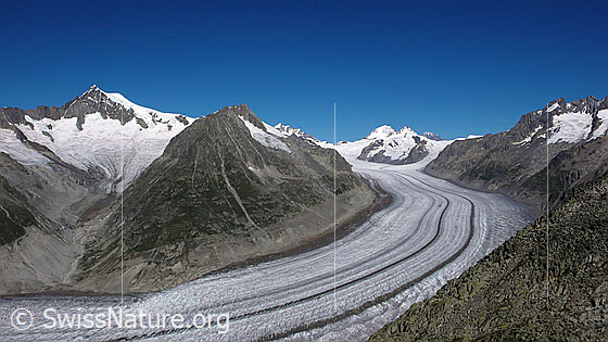 Foto: Grosser Aletschgletscher vom Eggishorn. Die Mittelmoränen sind deutlich zu sehen. Hintergrund: Aletschhorn und Mittelaletschgletscher, Olmenhorn, Kleines Dreieckhorn, Jungfrau, Mönch, Trugberg, Eiger, Chamm und Fiescher Gabelhorn.
