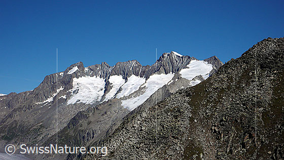 Foto: Walliser Fiescherhörner: Chamm, Fiescher Gabelhorn, Schönbühlhorn, Gross Wannenhorn und Klein Wannenhorn. Darunter Schönbühlgletscher und Wannenhorngletscher.