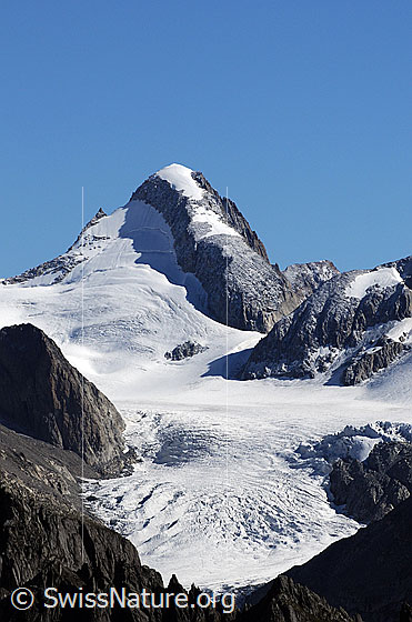 Foto: Oberaarhorn, Studergletscher und Galmigletscher. Am Fuss des Oberaarhorns ist der Einschnitt des Oberaarjochs und etwas darüber die Oberaarjochhütte zu sehen.
