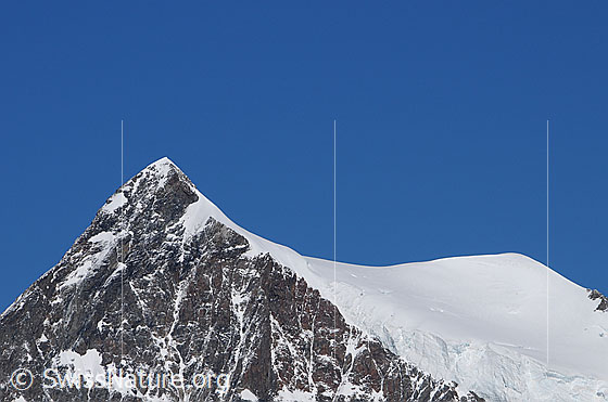 Foto: Portrait Aletschhorn.