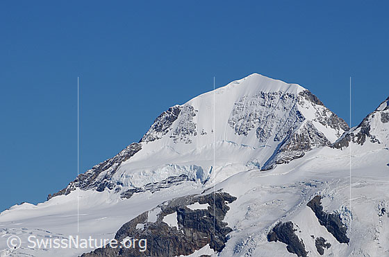 Foto: Portrait Mönch. Südwand des Mönch mit Gletscherabbruch.
