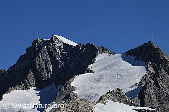 Foto: Gross Wannenhorn und Klein Wannenhorn. Dazwischen sind Wannenhornsattel und Wannenhorngletscher und rechts davon die Wannenzwillinge zu sehen. Im Vordergrund die Senfspitze.