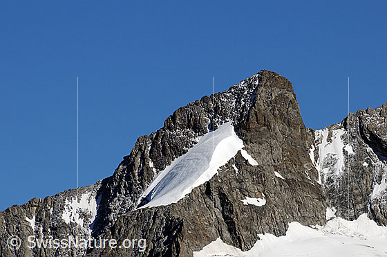 Foto: Portrait Chamm mit Firnfeld. Rechts des Gipfels ist das Chammjoch zu sehen. Darunter der Gletschrrand des Schönbühlgletschers.