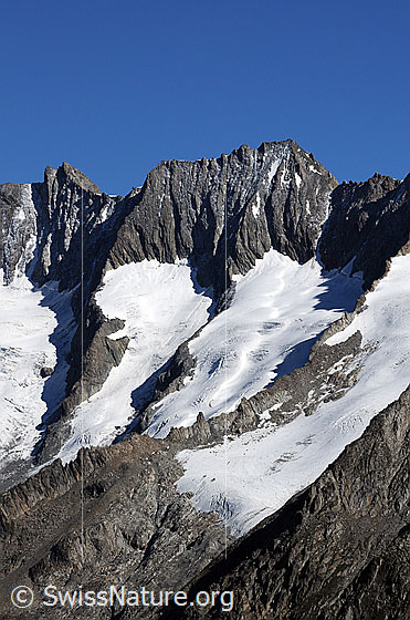 Foto: Fiescher Gabelhorn, Gabelhornsattel, Schönbühlhorn und Schönbühljoch. Davor der Schönbühlgletscher.