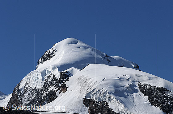 Foto: Pollux und Gletschereis.