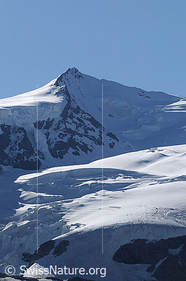 Foto: Nordend und Monte Rosagletscher. Die Normalroute führt von rechts vom Silbersattel über den Südgrat (S-Grat) zum Gipfel.
In der Fallinie des Gipfels ist der Westsporn (W-Sporn, sog. Morshead-Sporn) zu sehen, über welchen eine schwierige Route zum Gipfel führt.