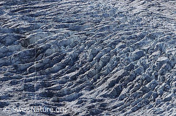 Foto: Gletscherabbruch im Grenzgletscher.