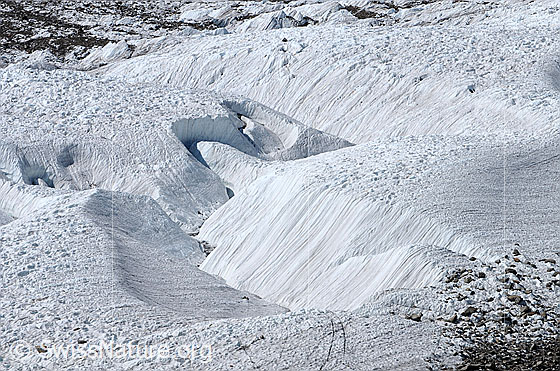 Foto: Blick auf die zerfurchte Eisoberfläche des Gornergletschers.
Zu sehen sind supraglaziale Schmelzwasserkanäle.

