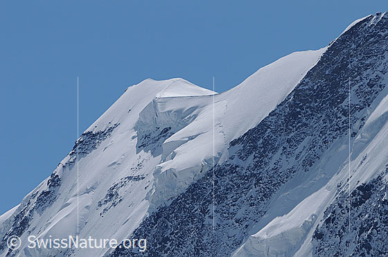 Foto: Ostgipfel des Liskamm. 
Links die Nordostwand (NE-Wand) durch welche die sog. Neruda-Klucker-Route führt. Auf dem nach rechts führenden Schneegrat sind Spuren zu sehen, welche zum Westgipfel führen. Die Nordostwand ist mit mächtigen Hängegletschern bestückt.