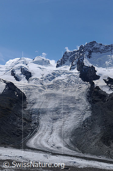 Foto: Schwärzegletscher und die Viertausender Castor, Pollux, Roccia Nera, Gendarm und Breithornzwillinge. Der Schwärzegletscher mündet in den Gornergletscher ein.