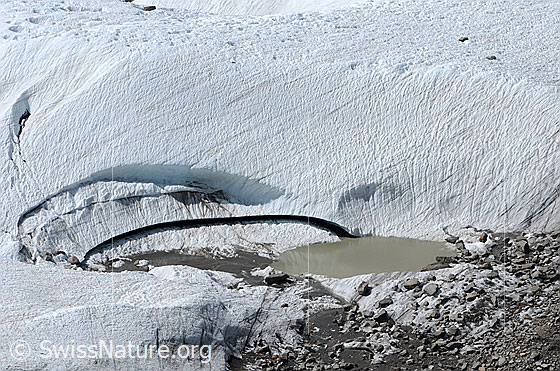 Foto: Supraglazialer See (Gletschersee) auf dem Gornergletscher mit Geröllablagerung am Ufer und Spalten in der Eismasse.
