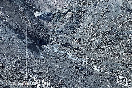 Foto: Gletschertor mit Gletscherbach am Unteren Theodulgletscher. Die Gletscherzunge ist mit Geröll bedeckt. D.h. die Zunge verfügt über eine Obermoräne.

