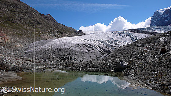 Foto: Kleiner Bergsee am Rand des Gornergletschers.