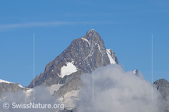 Foto: Finsteraarhorn und Agassizhorn. Davor Quellwolken.