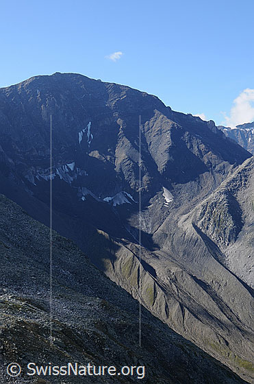 Foto: Merzebachschije und Merzebachgletscher. Das Gletschereis ist am Schwinden. Unterhalb der Felswand sind die Gletschermoränen zu sehen.
