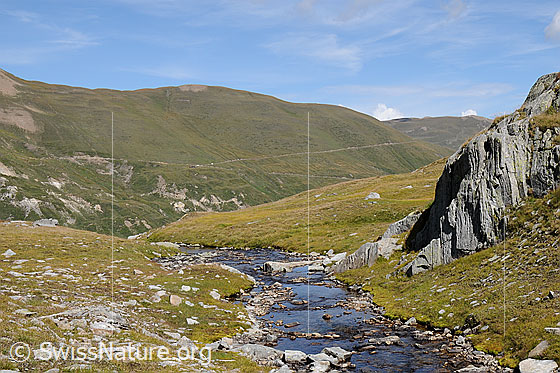 Foto: Pt. 2582 (Chalti Wassre) aus der Region Blausee. 
Auf der grünen Fläche oberhalb der Alpstrasse ist das westliche Feld von Grengiols Solar geplant.