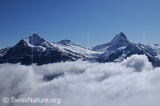 Foto: Wolkenstimmung mit Scheideggwetterhorn, Wetterhorn, Bärglistock, Lauteraarsattel, Lauteraarhorn und Schreckhorn.
Gletscher: Gutzgletscher, Oberer Grindelwaldgletscher und Wächselgletscher.