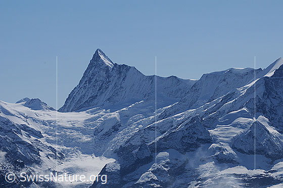 Foto: Finsteraarhorn und Agassizhorn. 
Rechts vom Agassizhorn der Fieschergrat.
Links vom Finsteraarhorn das Finsteraarjoch und der Gletscher Obers Ischmeer.
Im rechten Bildteil: Links die sonnenbeschienene Gletscherzunge der Gipfel Pfaffestecki.