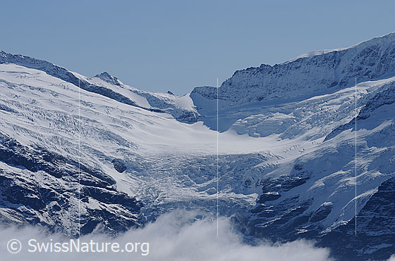 Foto: Oberer Grindelwaldgletscher und Lauteraarsattel