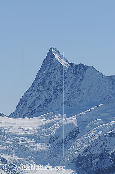 Foto: Portrait Finsteraarhorn und Agassizhorn. 
Gletscher: Obers Ischmeer.