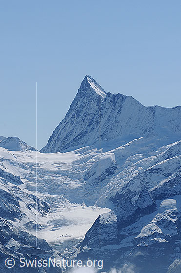 Foto: Finsteraarhorn, Agassizhorn, Finsteraarjoch und der Gletscher Obers Ischmeer.