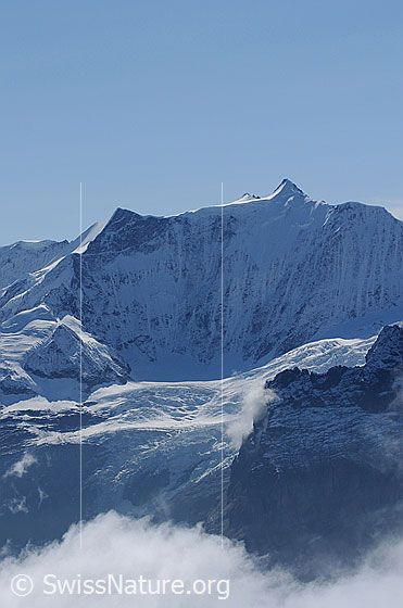 Foto: Ochs (Klein Fiescherhorn), Hinter-Fiescherhorn und Gross Fiescherhorn
Davor die Fiescherwand und darunter der Kessel des Fieschergletschers.