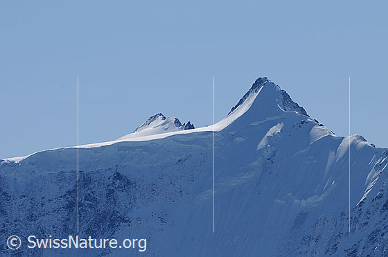 Foto: Portrait Hinter Fiescherhorn und Gross Fiescherhorn.
Dazwischen die Hochfläche des Walliser Fiescherfirn.
Davor die Fiescherwand.
