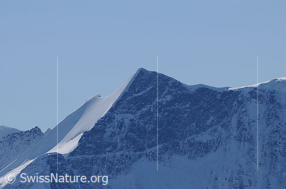 Foto: Portrait Ochs oder Klein Fiescherhorn.