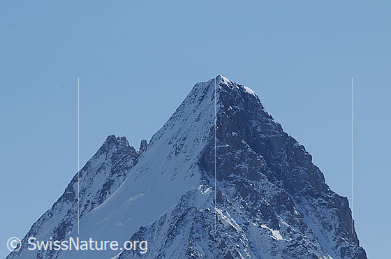 Foto: Portrait Lauteraarhorn und Schreckhorn.