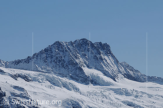 Foto: Portrait Bärglistock. Davor der Obere Grindelwaldgletscher.