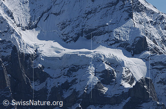 Foto: Der Gutzgletscher am Wetterhorn.