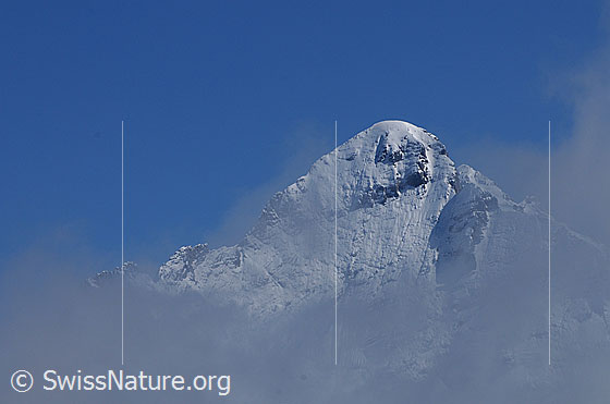 Foto: Der frisch verschneite Gipfel des Wetterhorn, welcher durch einen Nebelschleier zu sehen ist.