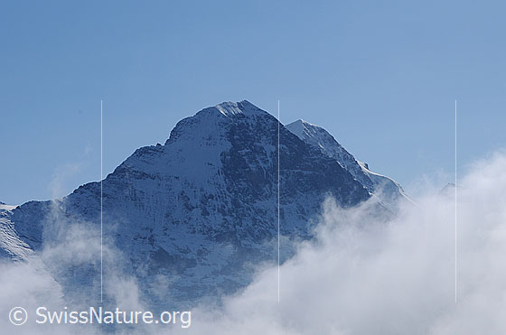 Foto: Eiger und Mönch. Interessanter Blick auf den Mittellegigrat, den Lauperschild und in die Nordwand.