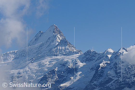 Foto: Schreckhorn, Klein Schreckhorn, Gwächta, Ankenbälli und Mättenberg.
Gletscher: Links Oberer Grindelwaldgletscher, rechts Wächselgletscher.