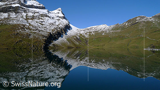 Foto: Spiegelung Bachalpsee.