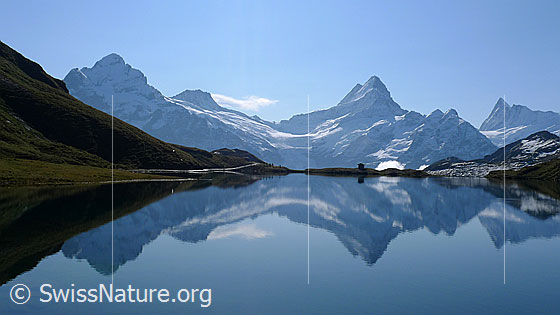 Foto: Spiegelung der Berner Alpen im Bachalpsee.