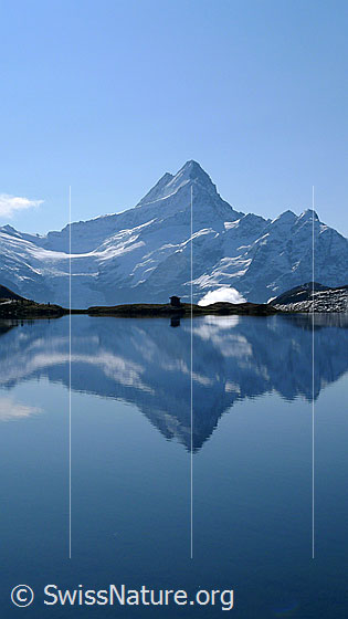 Foto: Spiegelung des Schreckhornmassivs im Bachalpsee.
