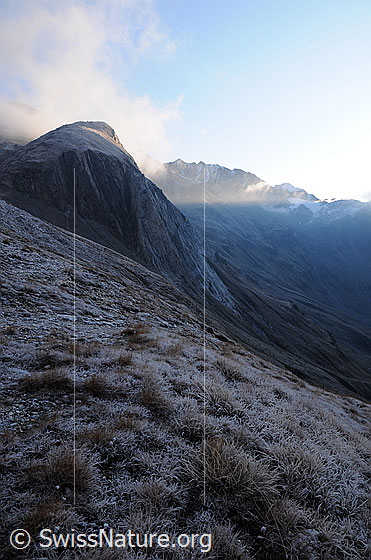 Foto: Raureif in Berglandschaft mit Streiflicht und Wolkenfetzen. Zu sehen sind 1. Turbechepf und Strahlgrät.