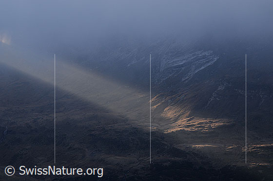 Foto: Lichtspot auf Alpweiden am Morgen eines kalten Herbsttages.