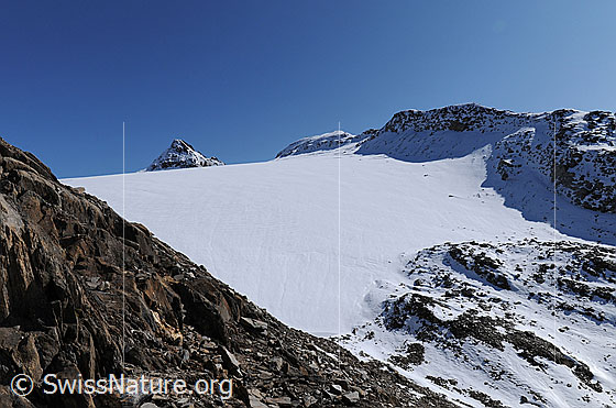 Foto: Blick von einem brüchigen Felsgrat über den Rappegletscher zum Gipfel des Ober Rappehorn.
