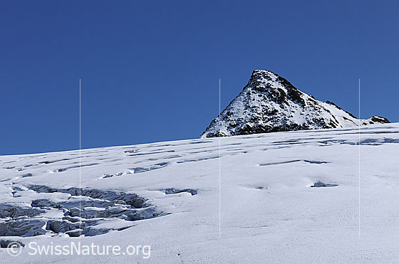 Foto: Rappegletscher mit Gletscherspalten und Bergpyramide Ober Rappehorn.