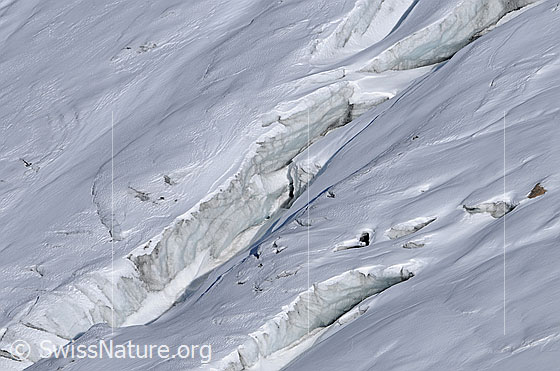 Foto: Querspalten im Rappegletscher.