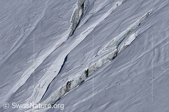 Foto: Zugeschneite Querspalten im Rappegletscher.