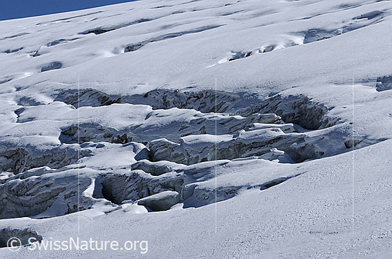 Foto: Spaltenlabyrinth im Rappegletscher.