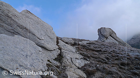Foto: Weisse Felsen.
Geheimnisvolle Stimmung in urtümlicher Landschaft mit hellen Felsformationen, Raureif und Wolken.