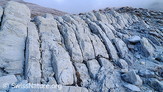 Foto: Felsformation aus Dolomitgestein.
