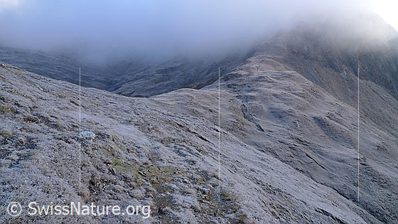 Foto: Kälte und Morgennebel liegen über der mit Raureif überzogenen Berglandschaft.