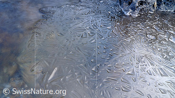 Foto: Eisdecke mit interessanten Formen und Mustern.