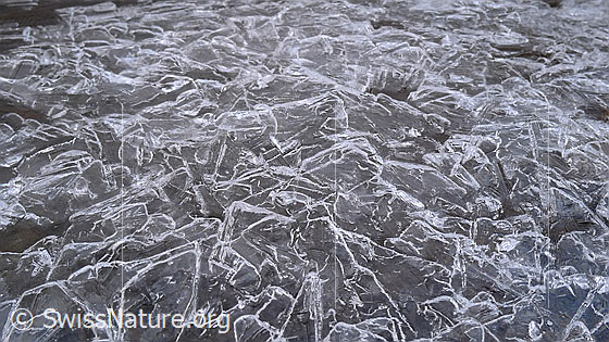 Foto: Eisgebilde in einer Eisdecke.
Eisgebilde bilden eine spezielle Struktur auf der Eisoberfläche.