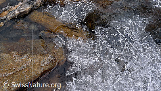 Foto: Eisgebilde und Steine in einem Wasserlauf. Die Eisdecke weist verschiedenartige Strukturen auf.